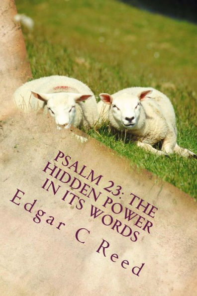 Psalm 23: The Hidden Power In Its Words