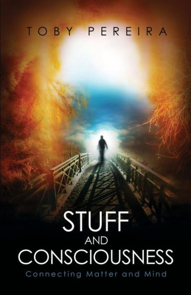 Stuff And Consciousness