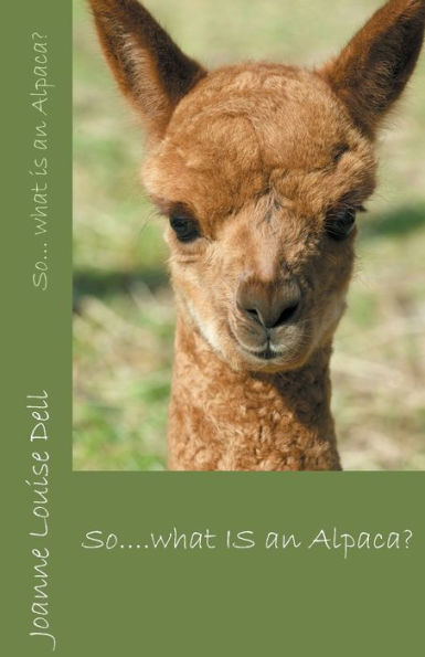 So... What Is An Alpaca?
