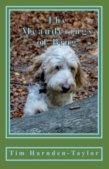 The Meanderings Of Bing: A Gentle, Humorous Look At Life, Squeaky Balls, Whizzers And Other Great Philosophical Mysteries Through The Meanderings Of ... Their Days Together (Lines From My Forehead)