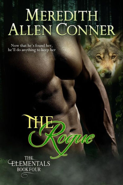 The Rogue (The Elementals)