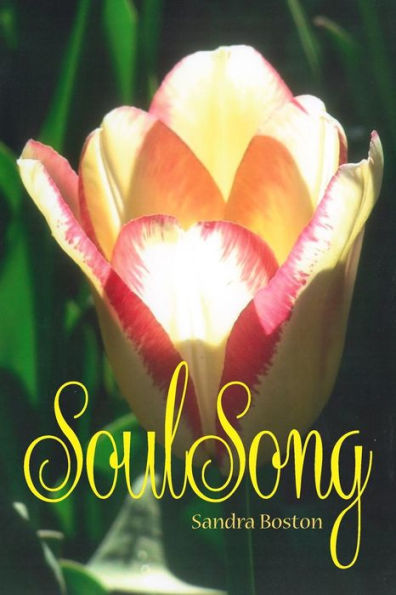Soul Song - 9780996971935