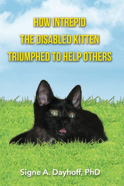 How Intrepid The Disabled Kitten Triumphed To Help Others