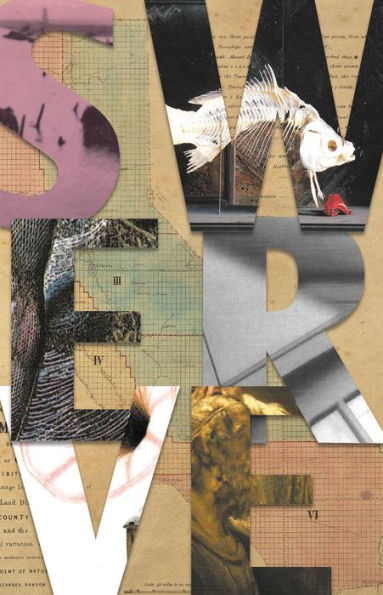 Swerve: A Novel Of Divergence