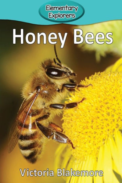 Honey Bees (6) (Elementary Explorers)