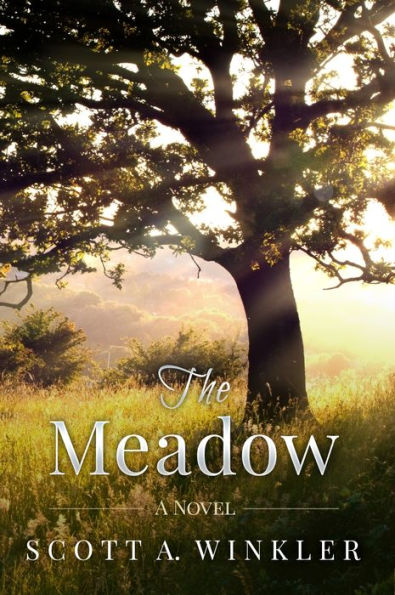 The Meadow: A Novel