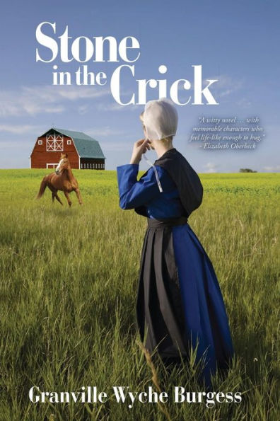 Stone In The Crick (Rebecca Zook's Amish Romance)