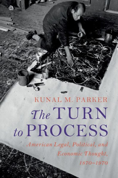 The Turn To Process (Cambridge Historical Studies In American Law And Society)