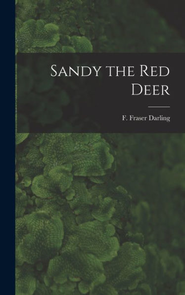 Sandy The Red Deer