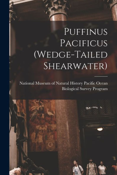 Puffinus Pacificus (Wedge-Tailed Shearwater)