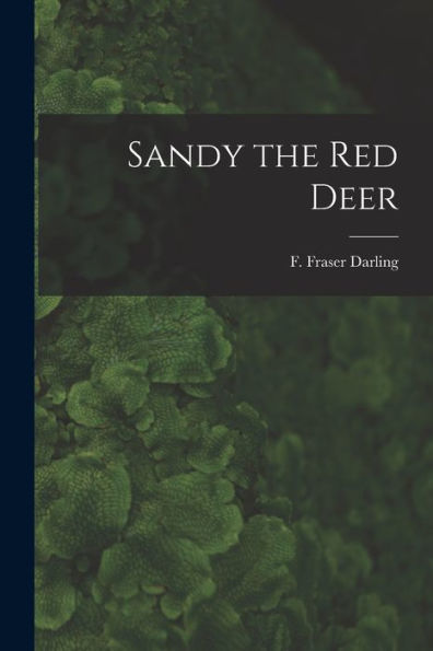 Sandy The Red Deer
