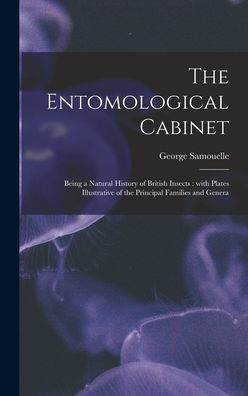 The Entomological Cabinet; Being A Natural History Of British Insects: With Plates Illustrative Of The Principal Families And Genera