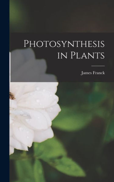 Photosynthesis In Plants