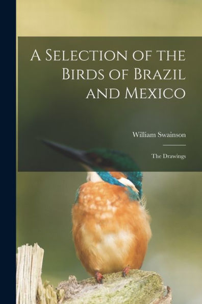 A Selection Of The Birds Of Brazil And Mexico: The Drawings