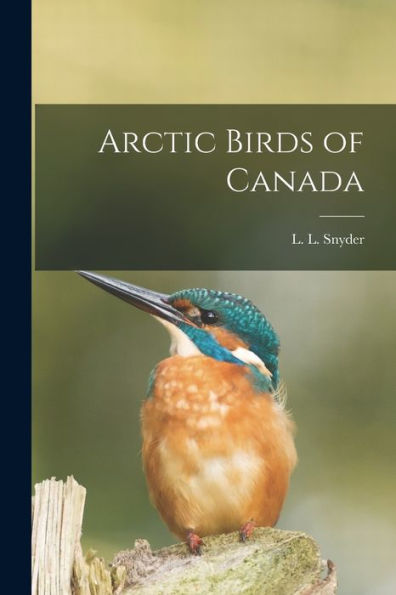 Arctic Birds Of Canada