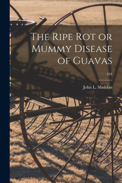 The Ripe Rot Or Mummy Disease Of Guavas; 104