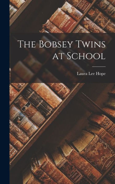 The Bobsey Twins At School
