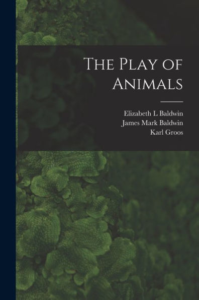 The Play Of Animals
