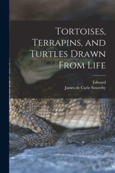 Tortoises, Terrapins, And Turtles Drawn From Life