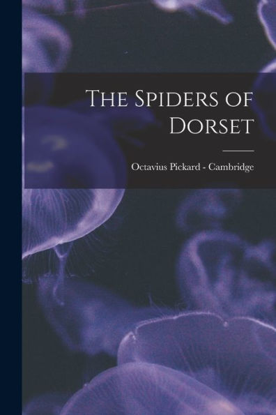 The Spiders Of Dorset