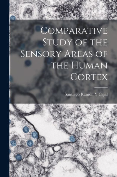 Comparative Study Of The Sensory Areas Of The Human Cortex