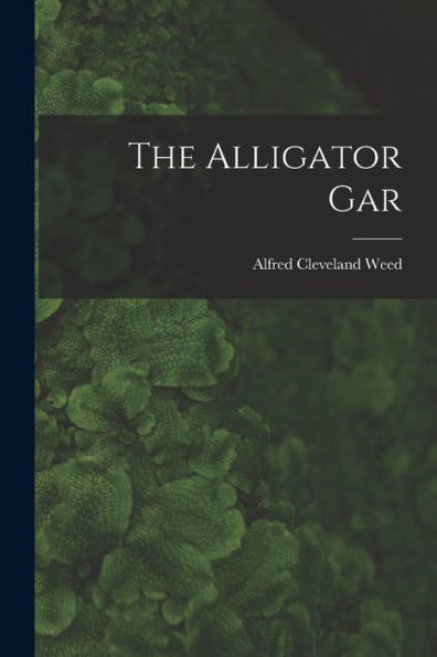 The Alligator Gar