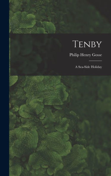 Tenby: A Sea-Side Holiday