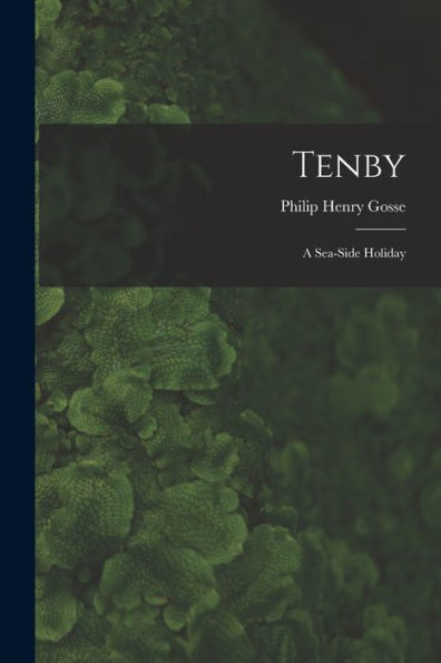 Tenby: A Sea-Side Holiday