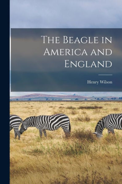The Beagle In America And England