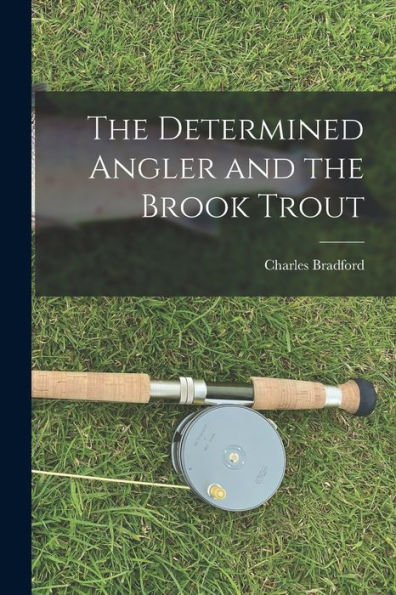 The Determined Angler And The Brook Trout