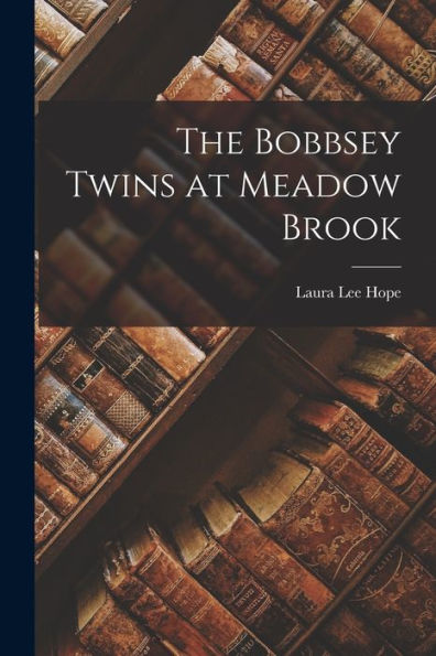 The Bobbsey Twins At Meadow Brook