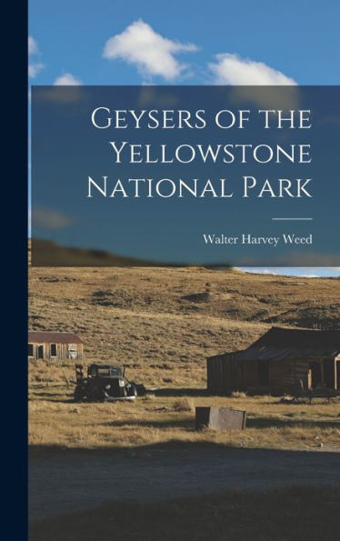Geysers Of The Yellowstone National Park