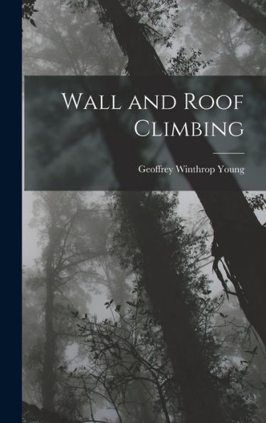 Wall And Roof Climbing