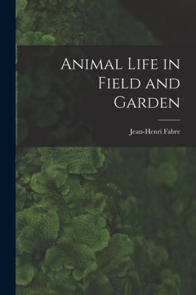 Animal Life In Field And Garden
