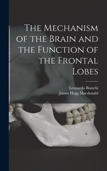 The Mechanism Of The Brain And The Function Of The Frontal Lobes