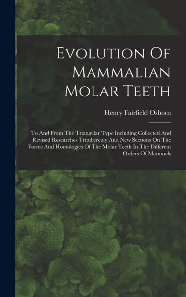 Evolution Of Mammalian Molar Teeth: To And From The Triangular Type Including Collected And Revised Researches Trituberculy And New Sections On The ... Teeth In The Different Orders Of Mammals
