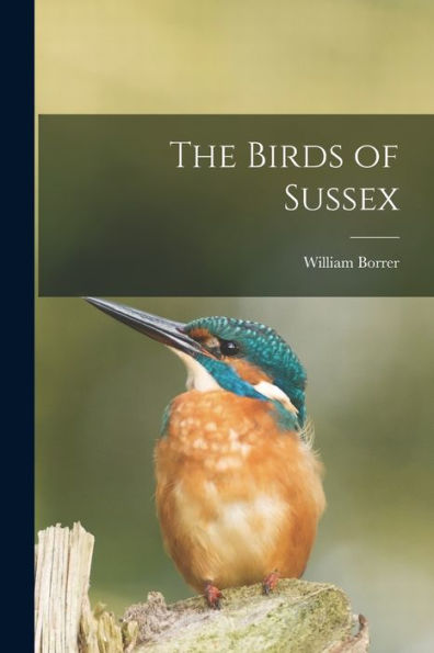 The Birds Of Sussex
