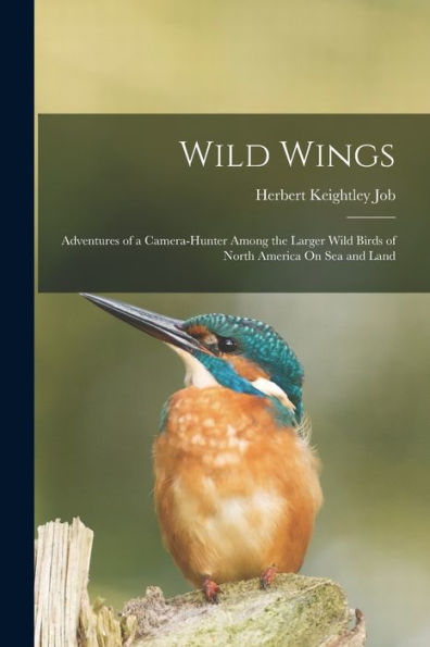 Wild Wings: Adventures Of A Camera-Hunter Among The Larger Wild Birds Of North America On Sea And Land
