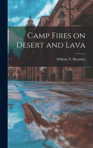 Camp Fires On Desert And Lava
