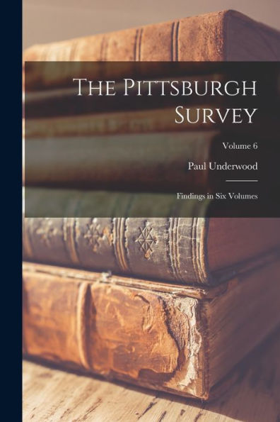The Pittsburgh Survey; Findings In Six Volumes; Volume 6