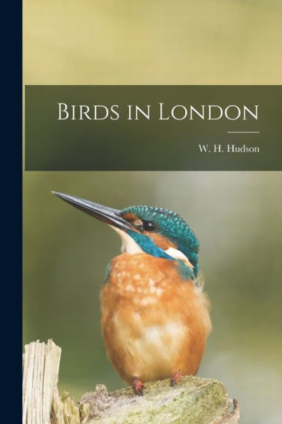 Birds In London