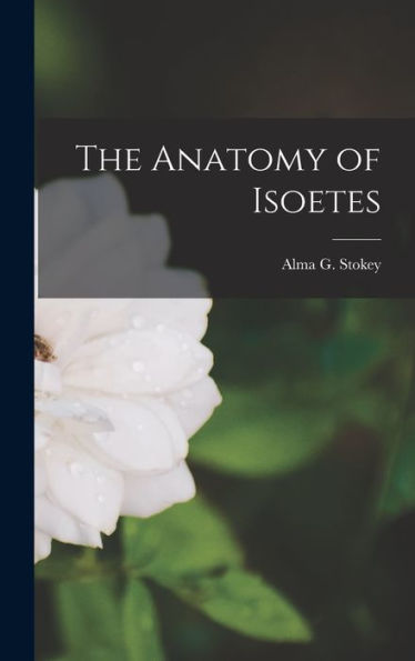 The Anatomy Of Isoetes