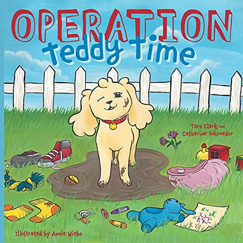 Operation Teddy Time - 9781039114975