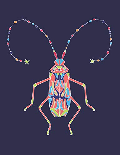 Coleoptera Beetle Notebook: Funny And Cool Beetle Notebook For Insects Lovers