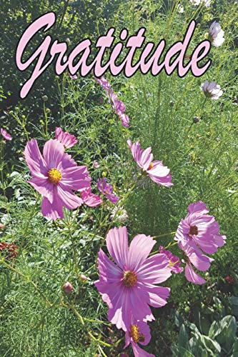 Gratitude - 9781073002092