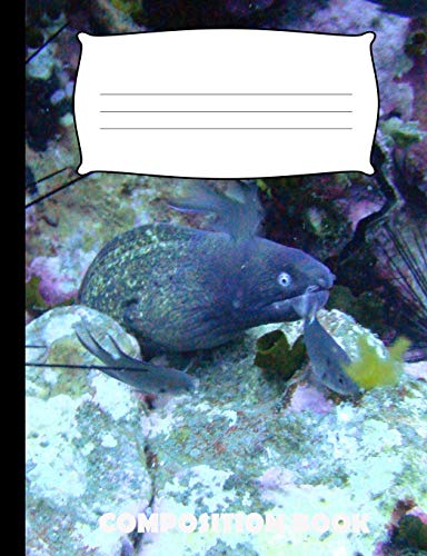 Composition Book: Eel Composition Notebook Wide Ruled