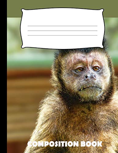 Composition Book: Monkey Composition Notebook Wide Ruled