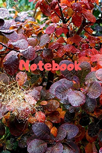 Notebook: Notebook / Diary With Colored Cover - Wide Ruled Line Paper - 9781073362493