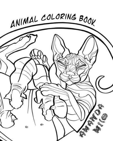 Animal Coloring Book - 9781073707324