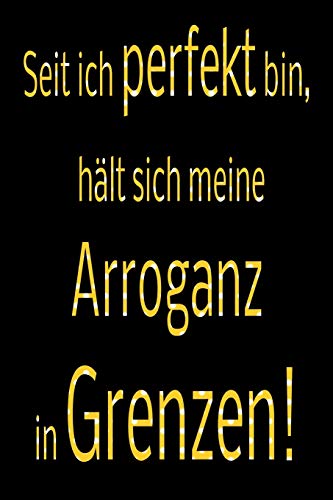 Seit Ich Perfekt Bin, H?lt Sich Meine Arroganz In Grenzen!: Kariertes Notizbuch Mit 120 Seiten | 6X9 Zoll | Malbuch, Malheft, Tagebuch, Notizbuch, Schulheft Uvm. | Lustig (German Edition) - 9781075192838